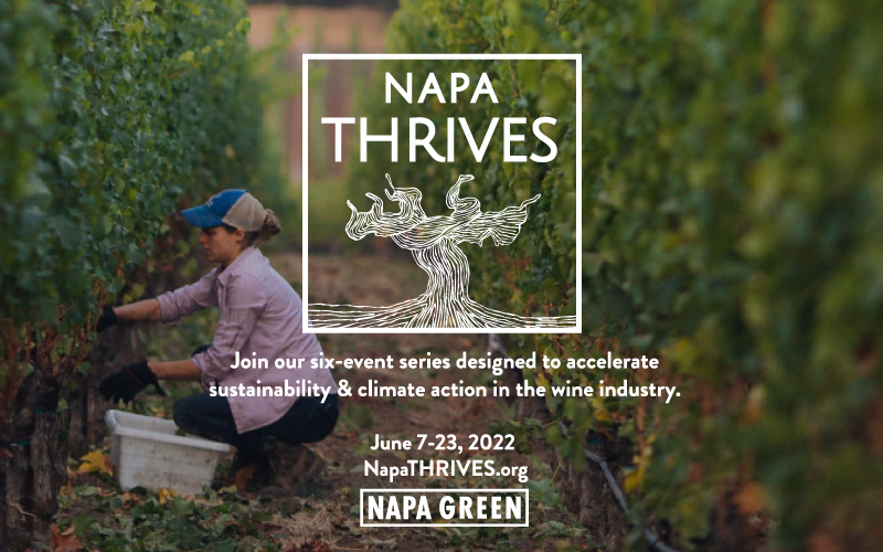 Napa-THRIVES-Social-Equity