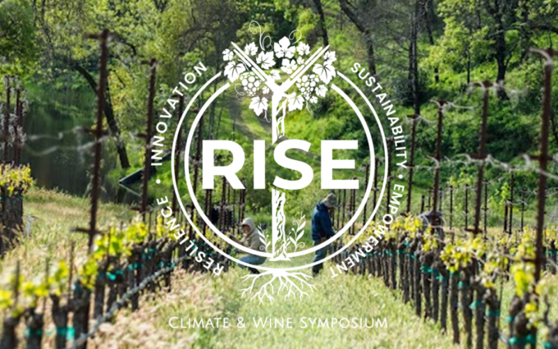 RISE-3