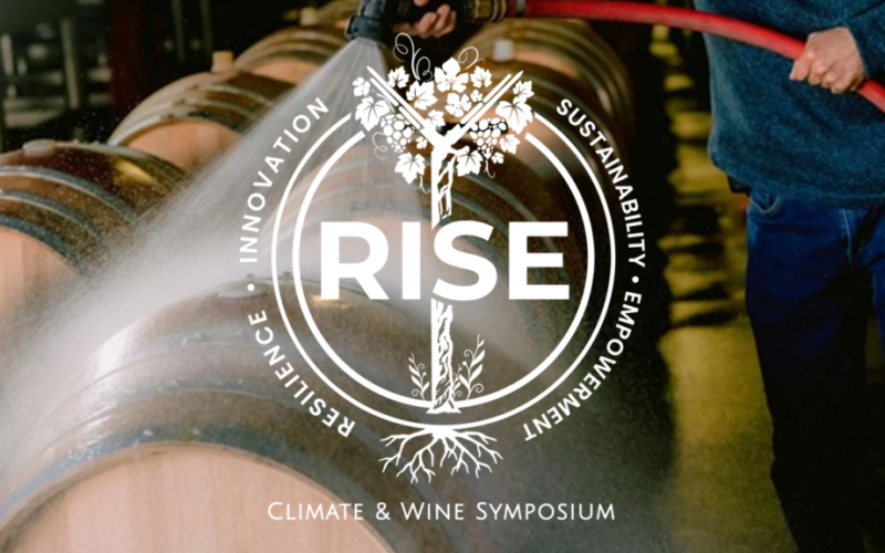 RISE-6
