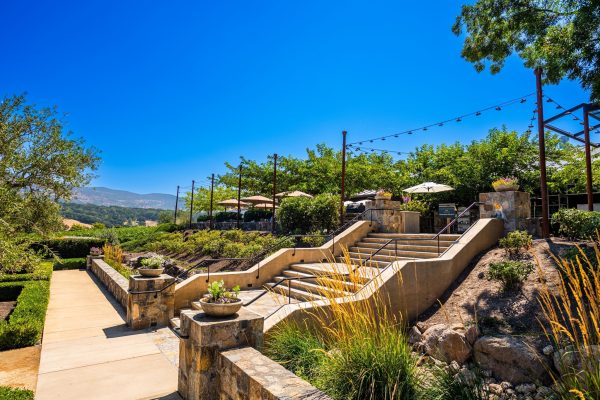 Shadybrook Estate Winery tasting 2