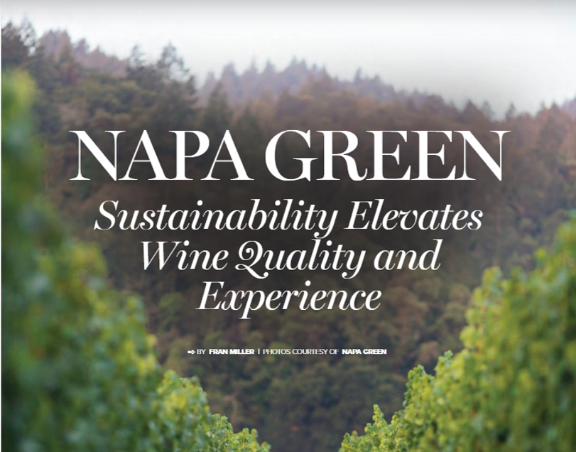 Napa Green: Sustainability Elevates Wine Quality and Experience