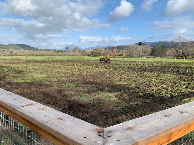 social equity garden