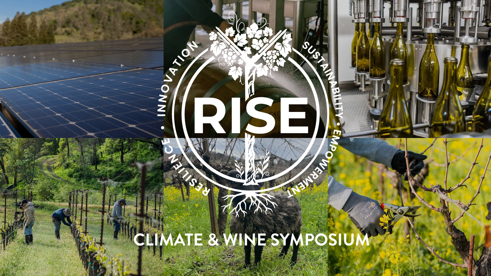 The Climate Connection: Rising to the occasion: Tackling climate and environmental challenges