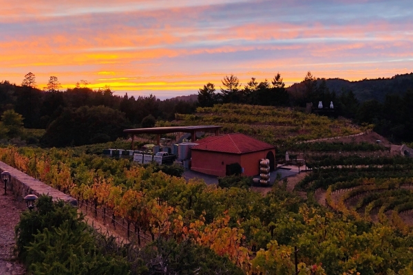 barnett-vineyards-3