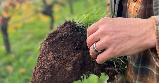 If you feel bad, imagine how the dirt feels