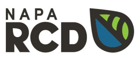 Napa-RCD-Logo-Color-150